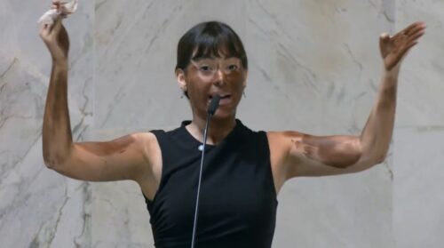 Deputada em discurso na Alesp usa maquiagem escura, gerando críticas e pedido de cassação.