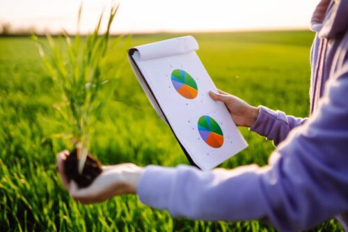 Análise de cultivo com gráficos e muda de planta em campo agrícola, destacando desempenho do fundo SNAG11.