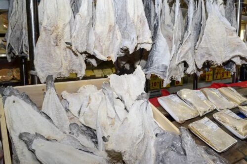 Interior de um estabelecimento comercial exibindo várias peças de bacalhau seco penduradas em ganchos e outras empilhadas em caixas de madeira ou embaladas em bandejas de isopor sobre um balcão.
