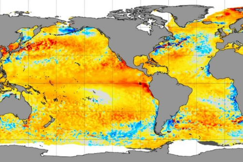 Mapa-múndi térmico mostrando as anomalias de temperatura da superfície do mar, com destaque para o fenômeno El Niño. Os continentes estão representados em cinza escuro. Os oceanos exibem uma escala de cores onde o amarelo, laranja e vermelho escuro indicam águas mais quentes que o normal, cobrindo grande parte do Oceano Pacífico equatorial e a costa oeste da América do Sul. Manchas em tons de azul indicam águas mais frias que a média, visíveis em áreas isoladas no norte e sul do mapa.