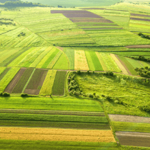 Vista aérea de campos agrícolas verdes na primavera com vegetação fresca após uma temporada de semeadura