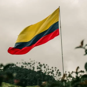 Fotografia de uma grande bandeira tricolor da Colômbia tremulando ao vento em um mastro. Ao fundo, uma paisagem verdejante composta por colinas com palmeiras altas contra um céu claro e nublado.