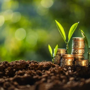 Mudas crescem ao lado de pilhas de moedas, representando crédito rural e financiamento para o agronegócio.