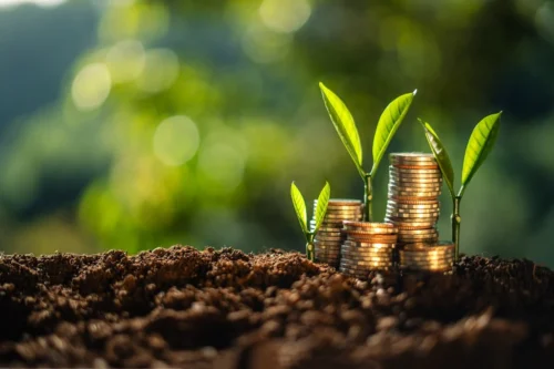 Mudas crescem ao lado de pilhas de moedas, representando crédito rural e financiamento para o agronegócio.